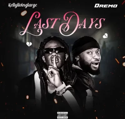 Kellylivinglarge-Last-Days-ft.-Dremo