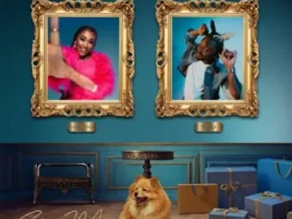 Lady Zamar – Show Me Ft. Fido