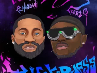 Ric Hassani – Wickedness Ft. Terry G