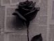 Marioo – Mama