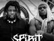Vicoka – Spirit Ft. Wizard Chan